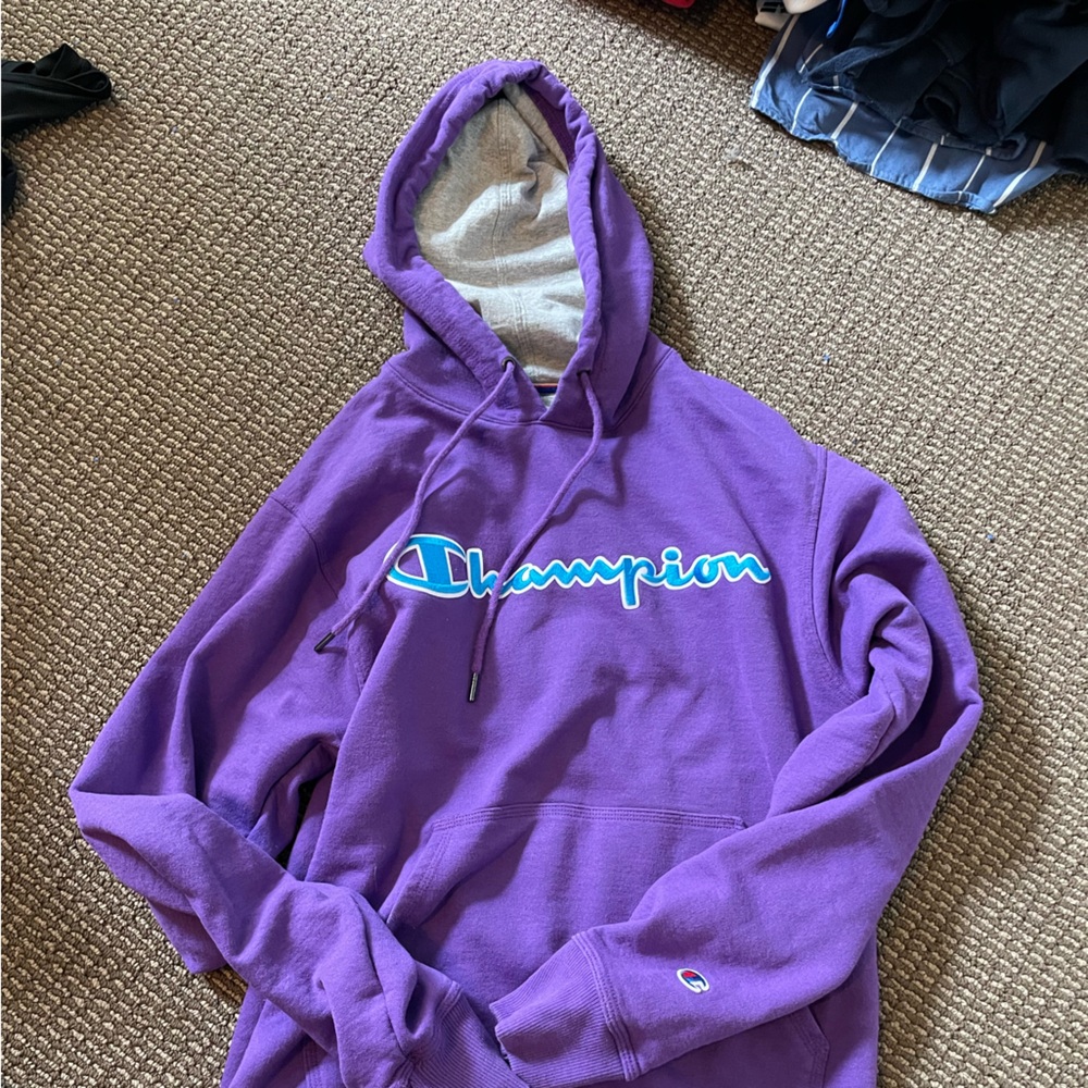 Plum champion hoodie adult size small